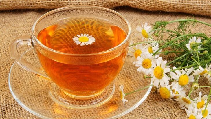 Chamomile decoction - Trápaga osteokondrosiaren tratamendurako erremedio herrikoia